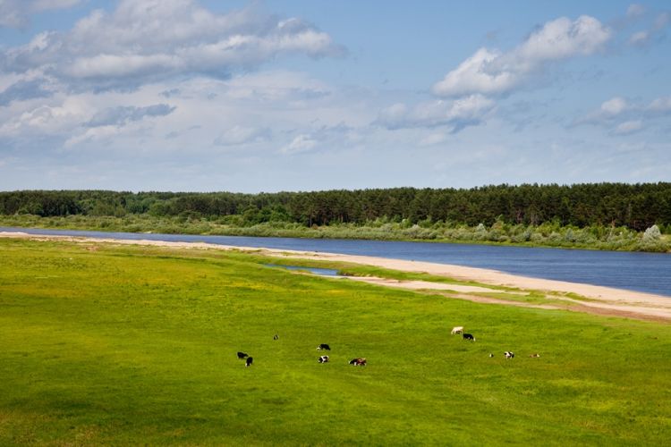 Ветлужская пастораль Ветлужская пастораль